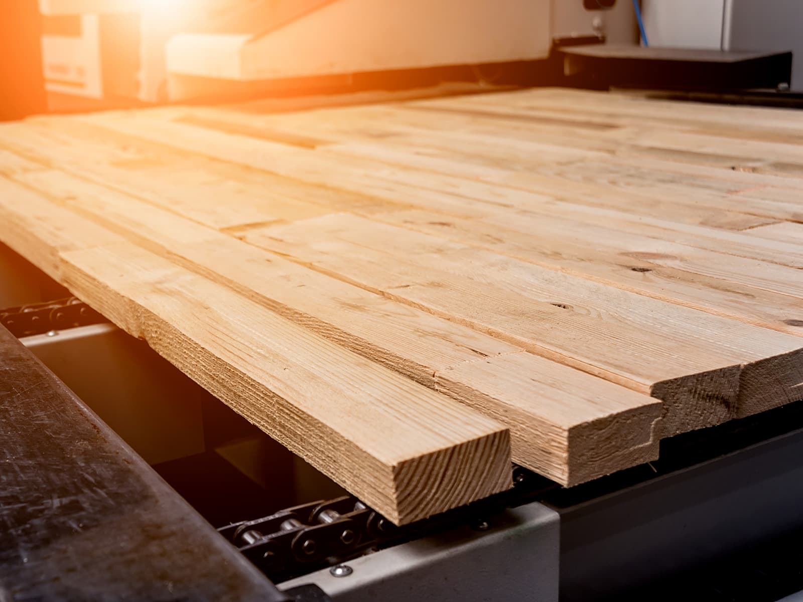 Freshly cut lumber boards moving along a production line